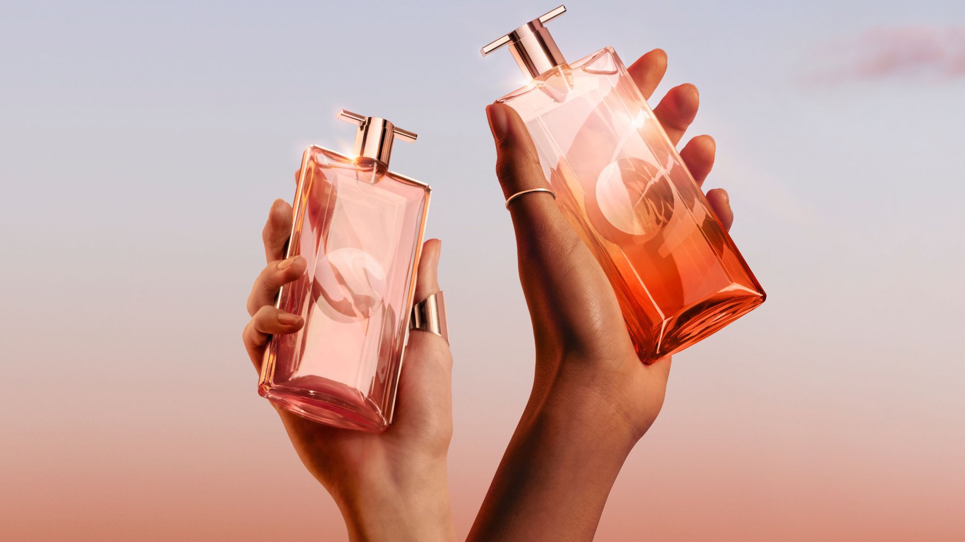 Clasificacion de perfumes