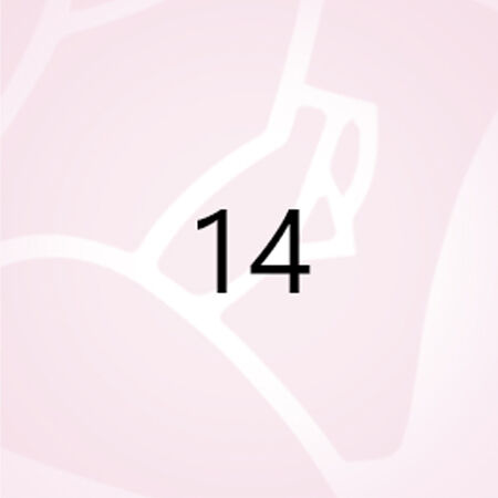 numero 14