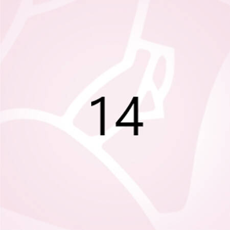 numero 14