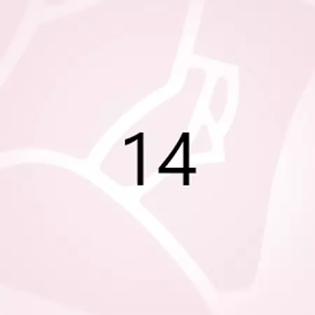 numero 14