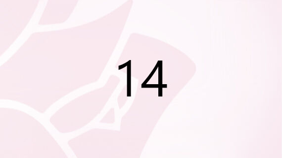 numero 14