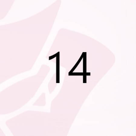 numero 14
