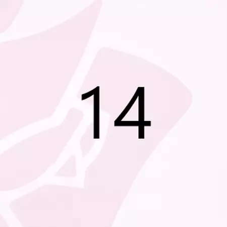 numero 14