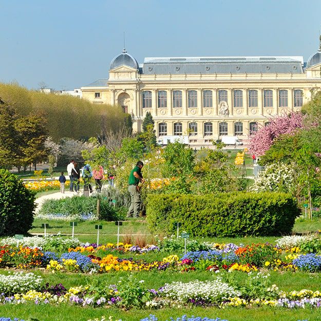 bring-the-world-to-bloom20