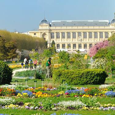 bring-the-world-to-bloom10