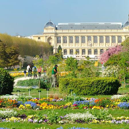 bring-the-world-to-bloom20