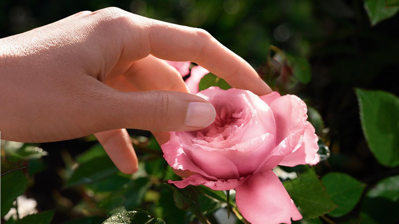 bring-the-world-to-bloom1