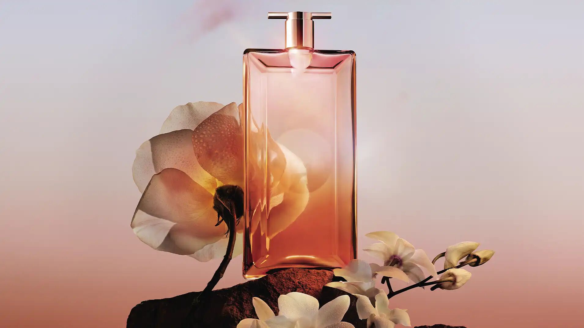Perfumes de mujer recomendados