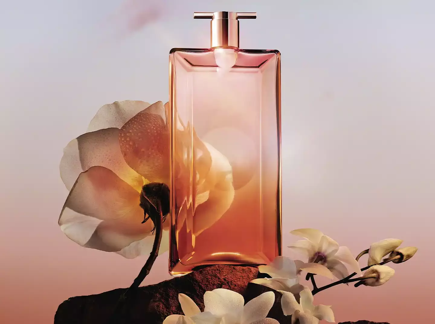 Perfumes de mujer recomendados