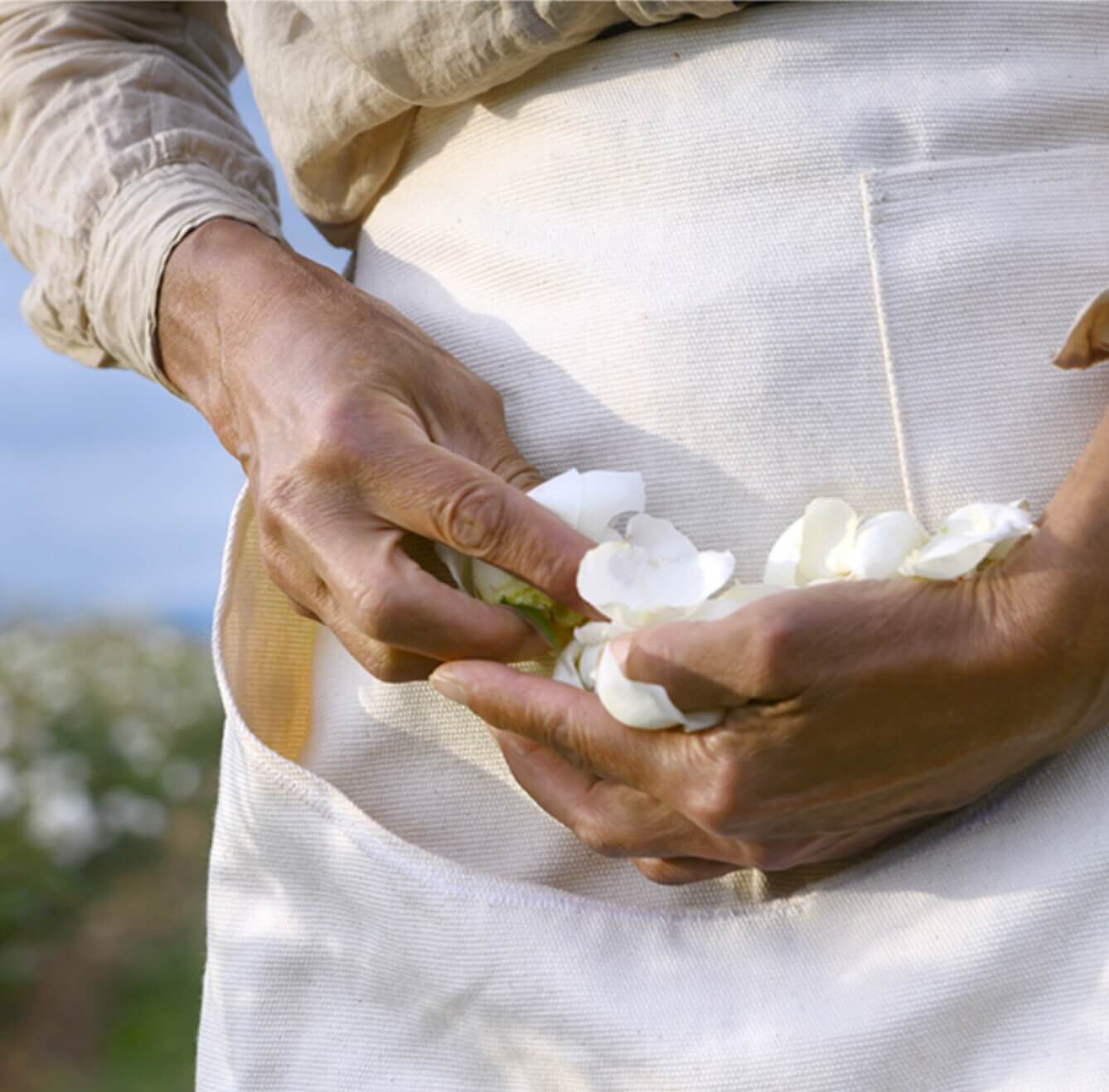 notas-de-perfumes-que-son-como-elegir-las-mejores