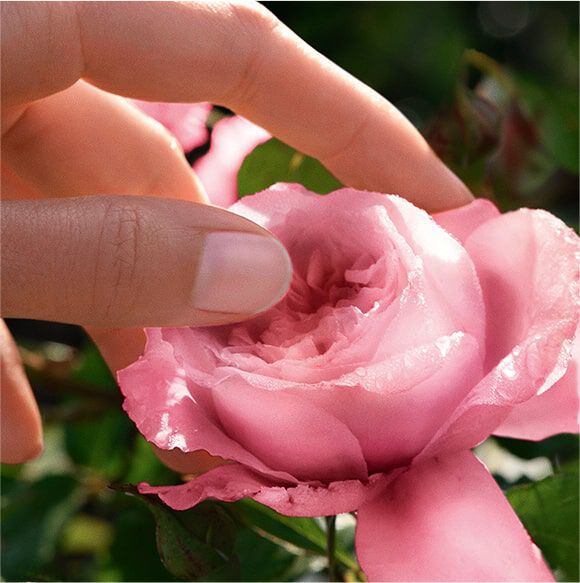 perfumes-gourmand-que-son-y-cuando-deberias-usarlos