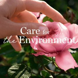 sustainability9