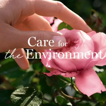 sustainability9