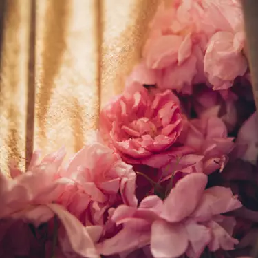 bring-the-world-to-bloom3