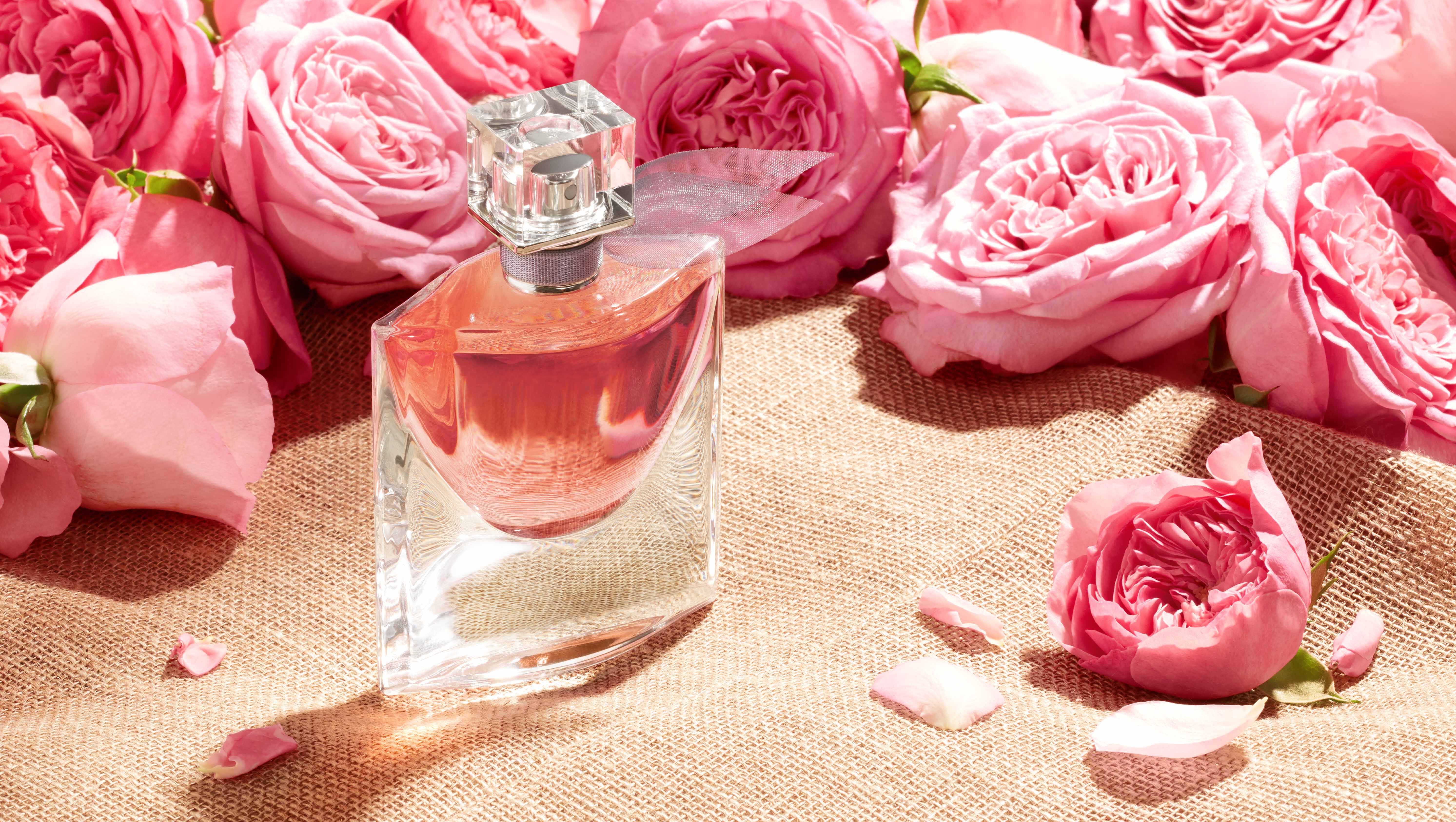 beauty-magazine-homepage9