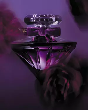 bodegon de la nuit tresor