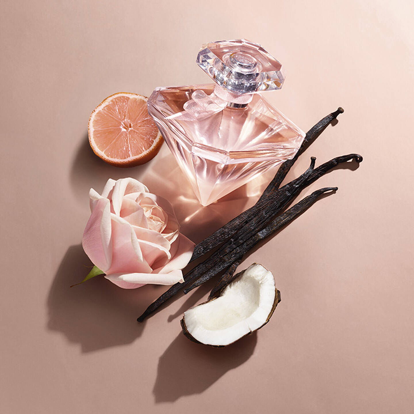 LA NUIT TRESOR NUDE