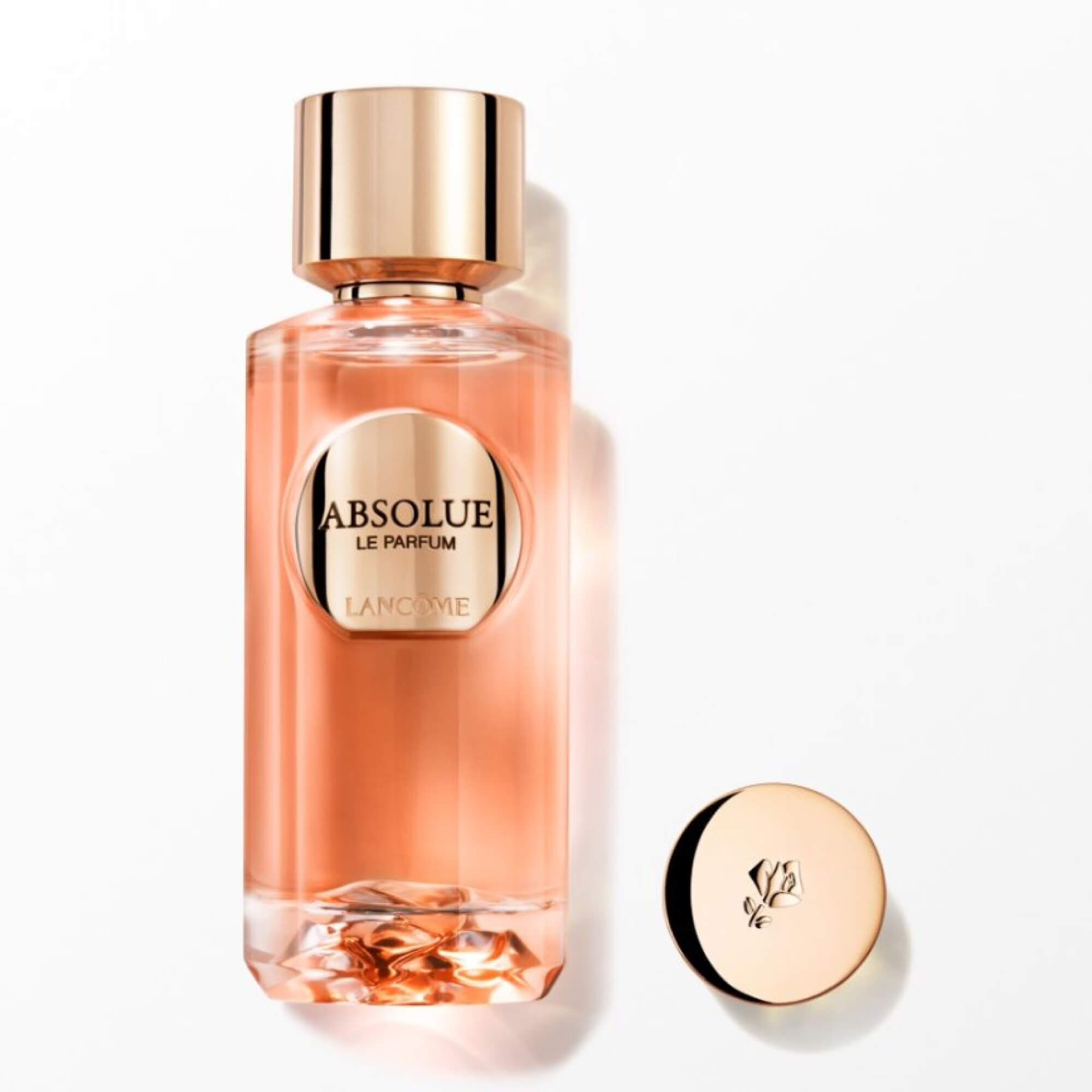 LE PARFUM | ABSOLUE LES PARFUMS