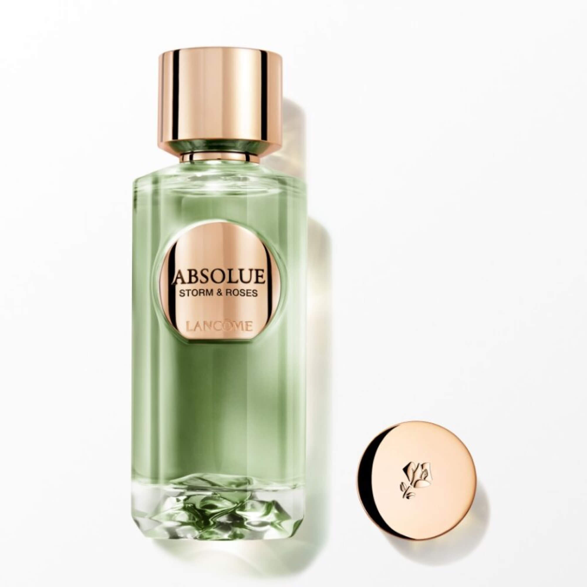 STORM & ROSES | ABSOLUE LES PARFUMS
