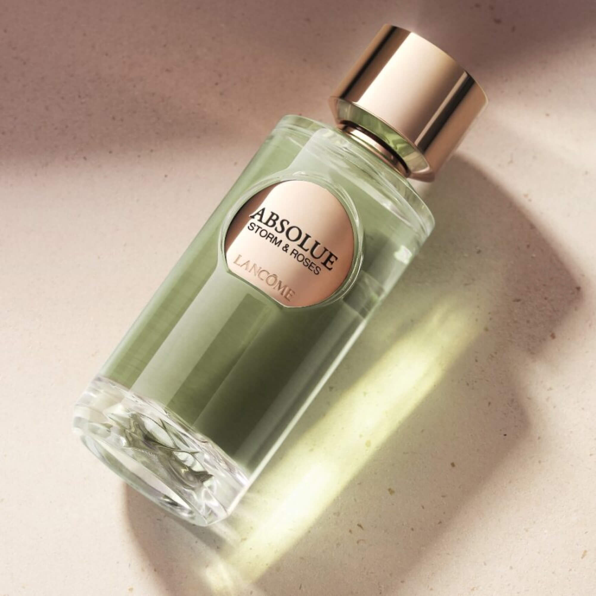 STORM & ROSES | ABSOLUE LES PARFUMS