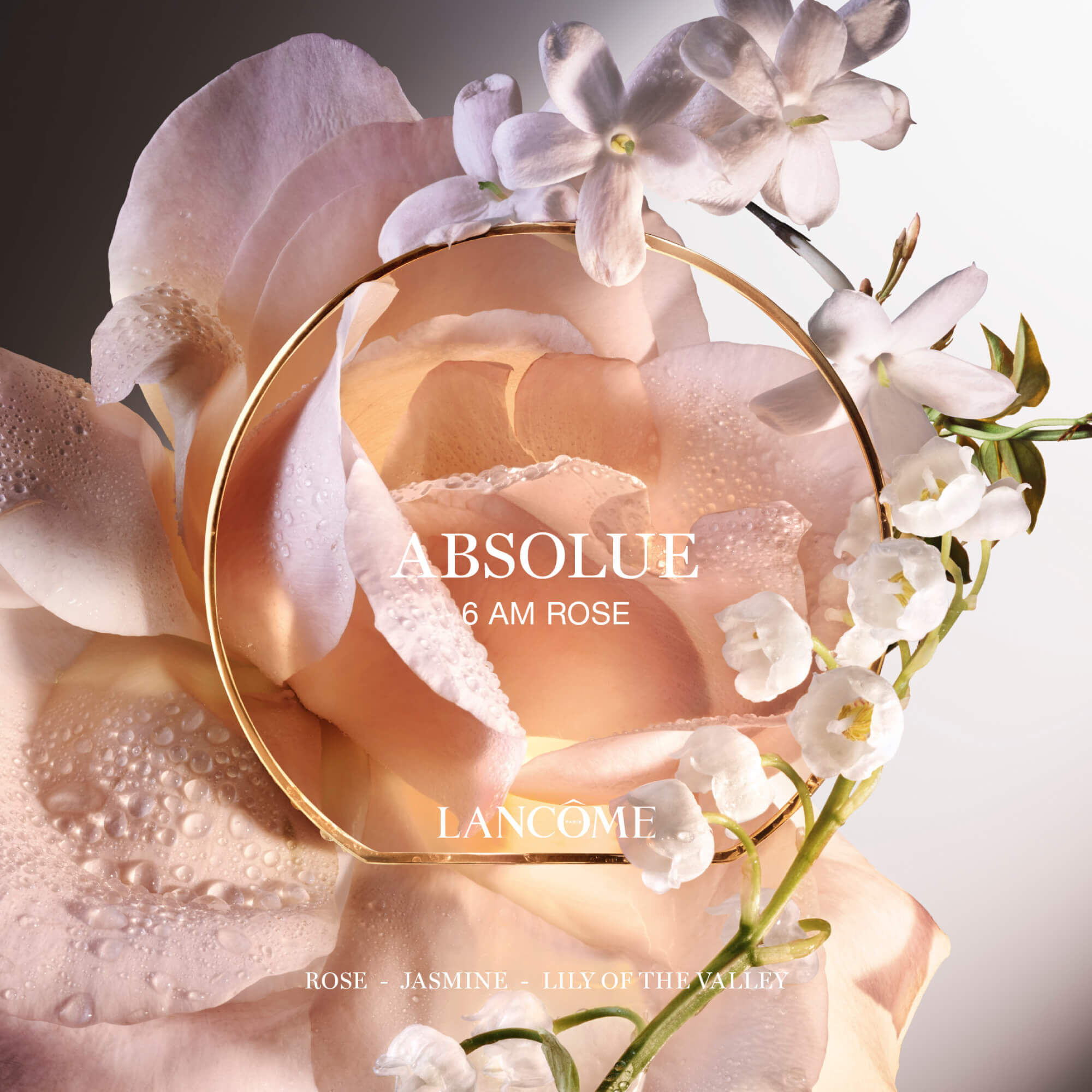 6 AM ROSE | ABSOLUE LES PARFUMS