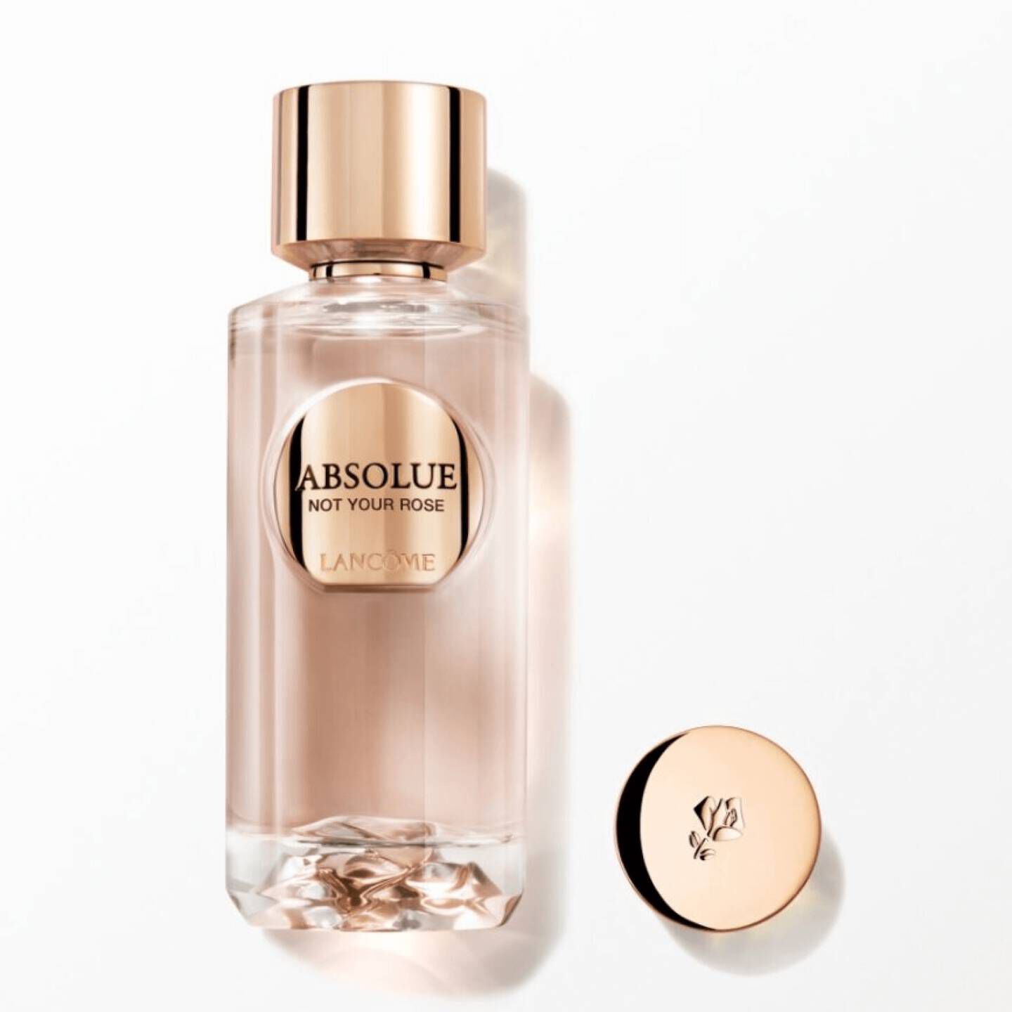 NOT YOUR ROSE | ABSOLUE LES PARFUMS