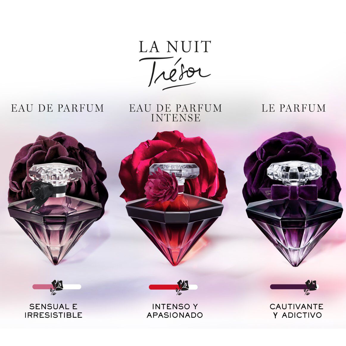 LA NUIT TRESOR LE PARFUM