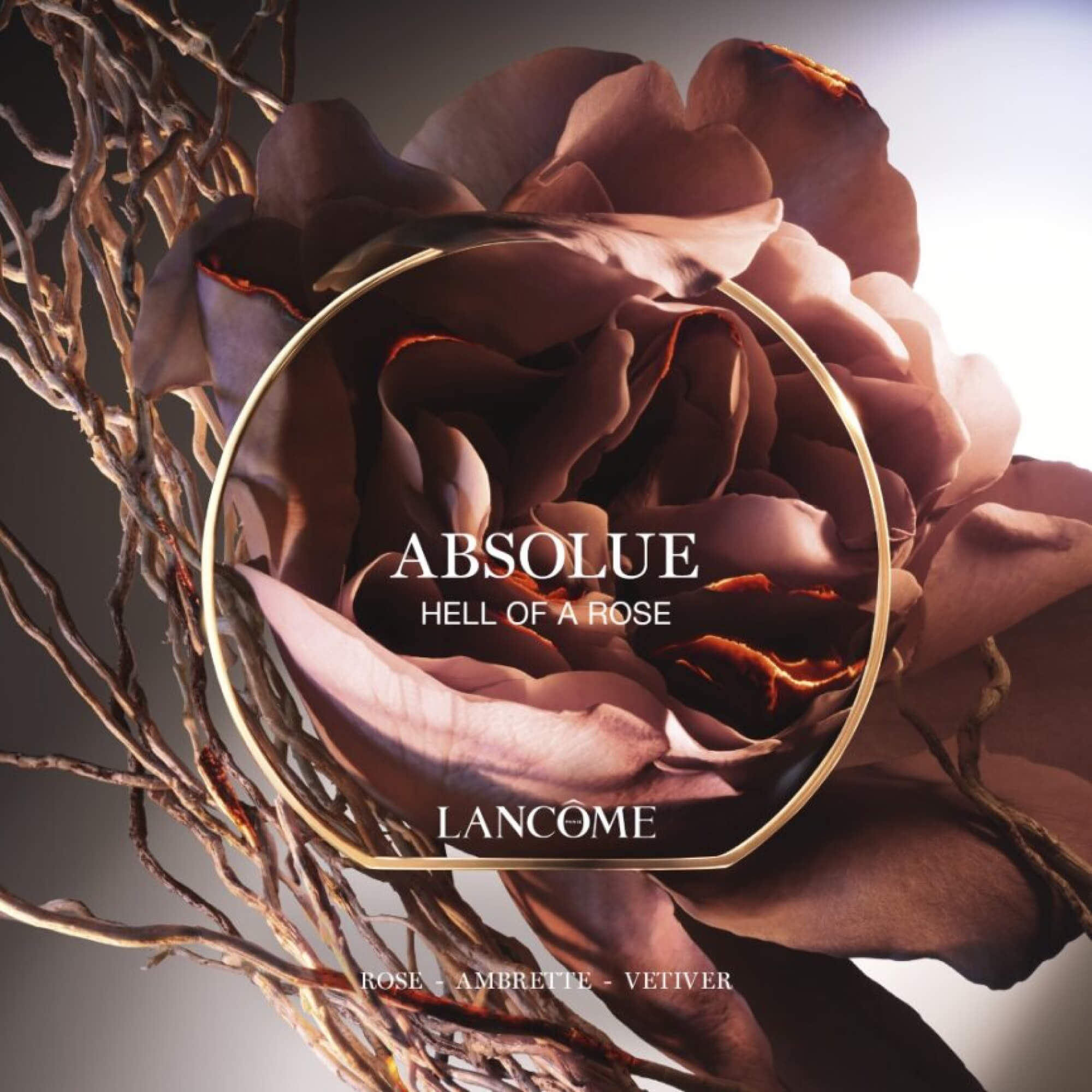 HELL OF A ROSE | ABSOLUE LES PARFUMS