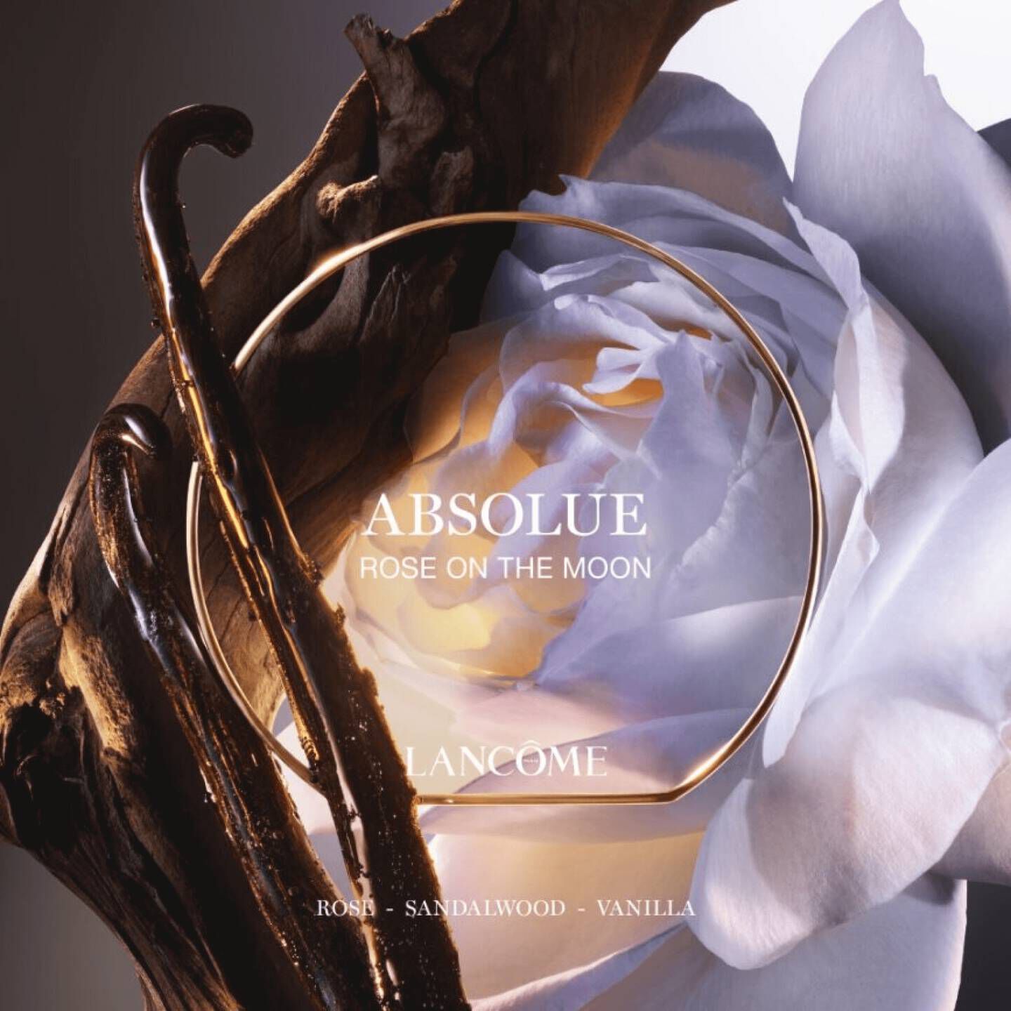ROSE ON THE MOON | ABSOLUE LES PARFUMS