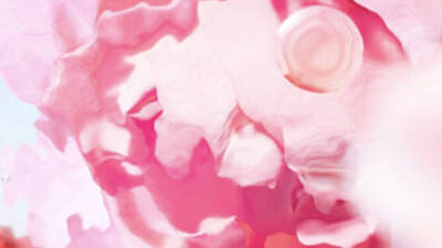 [visual de ingrediente - recorte sobre flor de rosa]