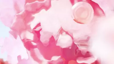 [visual de ingrediente - recorte sobre flor de rosa]
