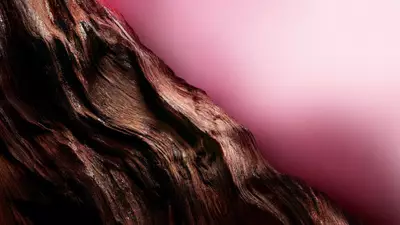 A dark, textured, and glossy wood-like element with reddish undertones cuts diagonally across a soft pink background.