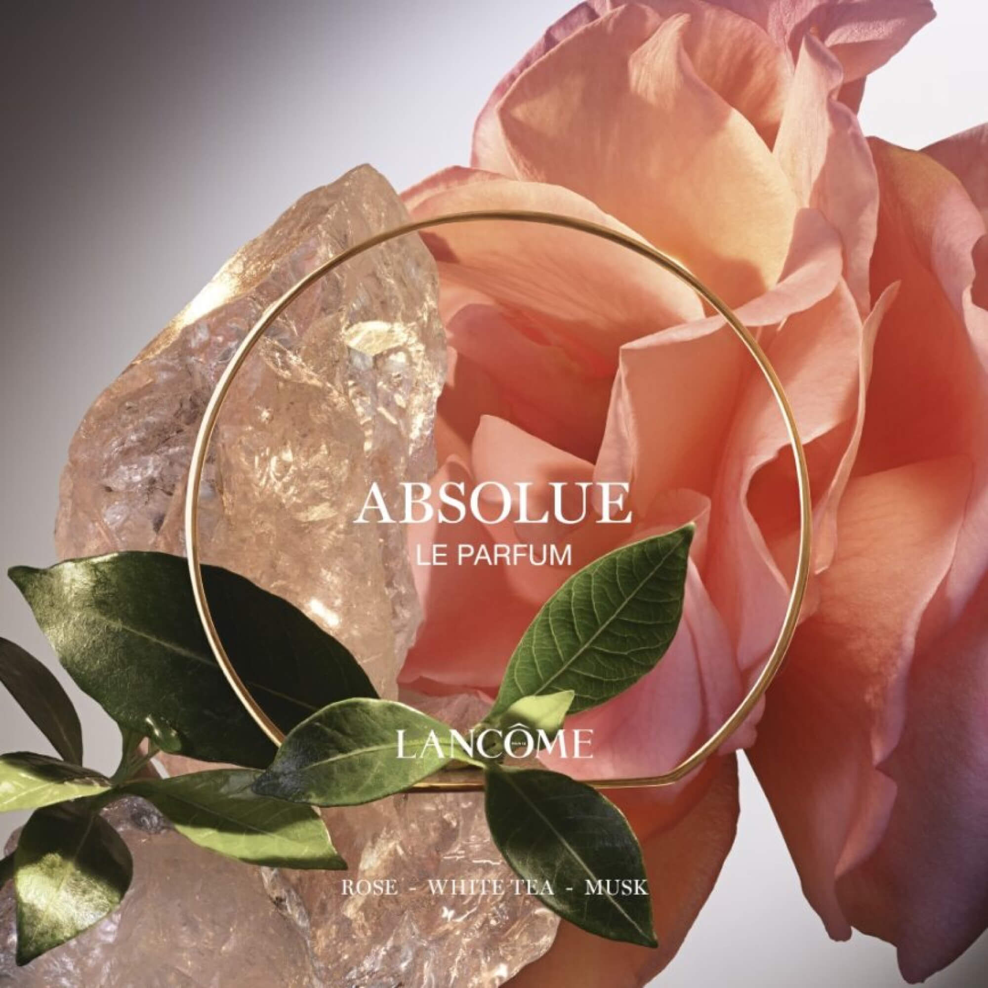 LE PARFUM | ABSOLUE LES PARFUMS