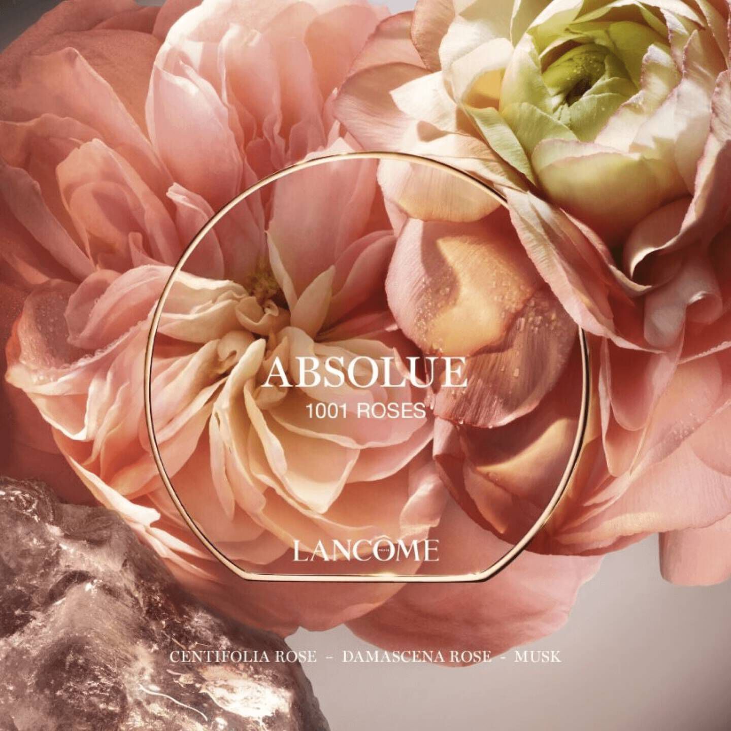 NOT YOUR ROSE | ABSOLUE LES PARFUMS