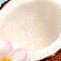 [visual de ingrediente - recorte sobre flor de monoi]