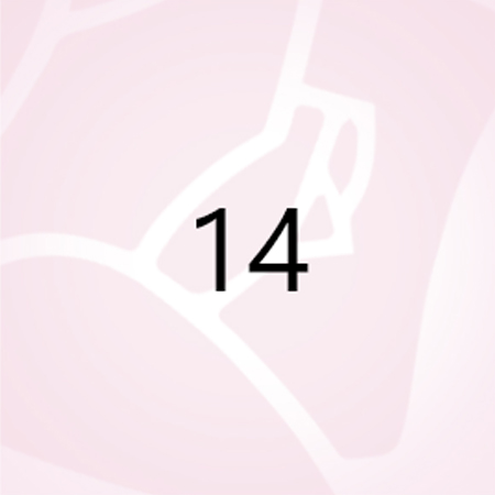 numero 14